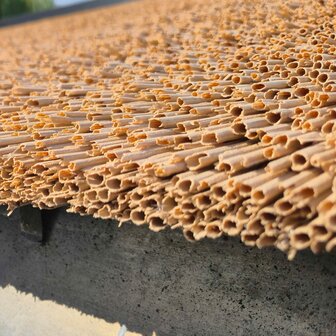 Rietpanel | Vers riet look