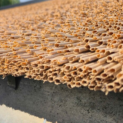 Rietpanel | Vers riet look